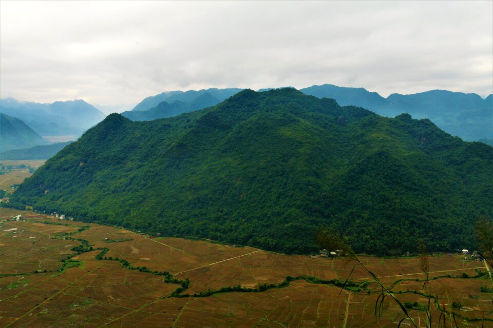 Landscape forest sky photo