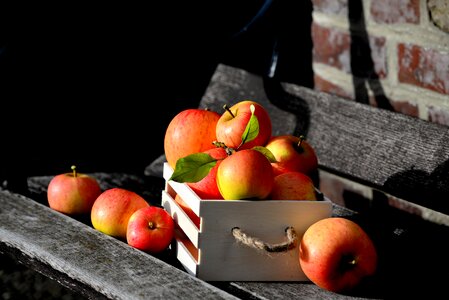 Apple crate fruit harvest photo