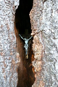 Cross jesus christianity