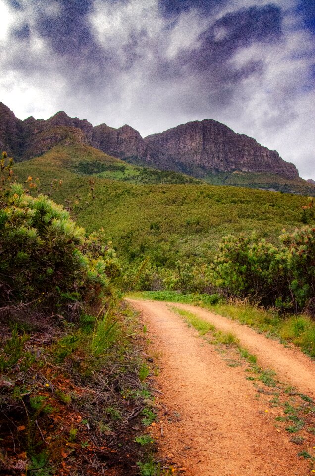 Path nature landscape photo