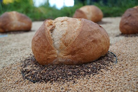 Baked goods grains crispy