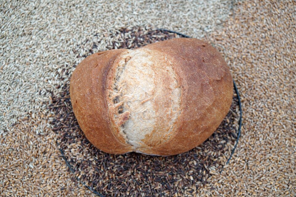 Baked goods grains crispy