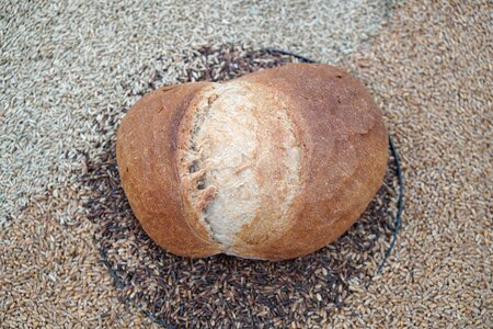 Baked goods grains crispy photo