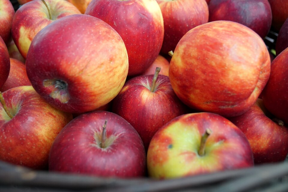 Juicy healthy health