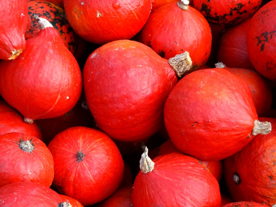 Halloween vegetables red
