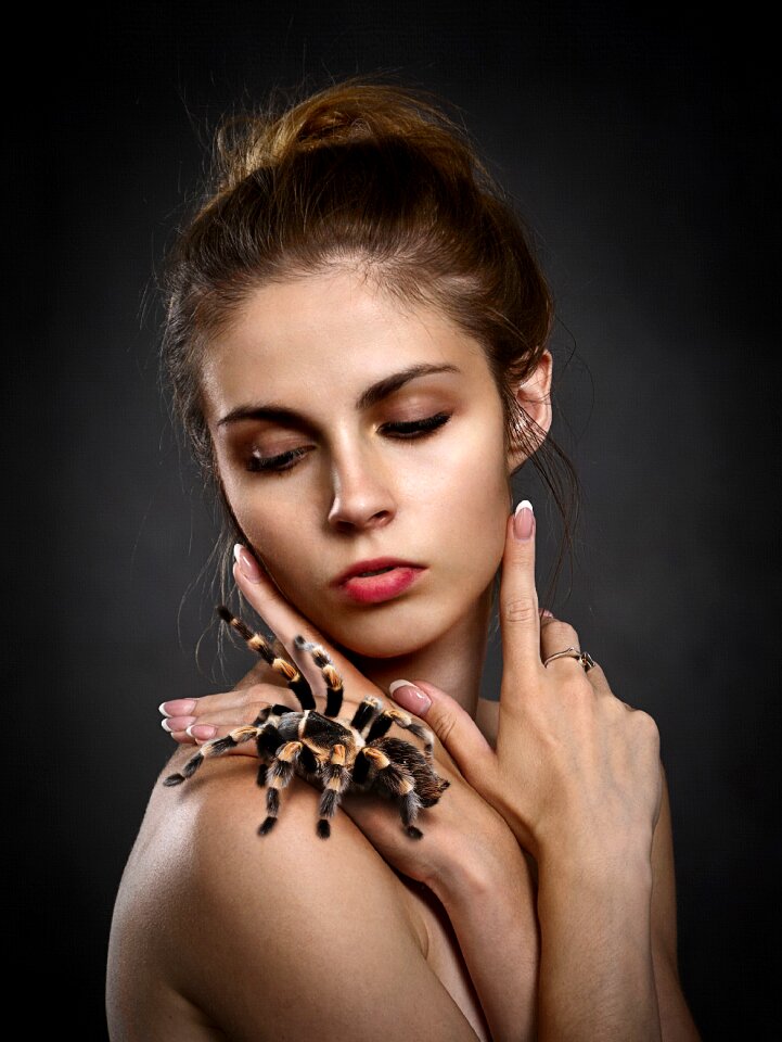 Spider portrait beauty