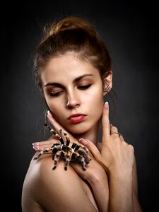 Spider portrait beauty