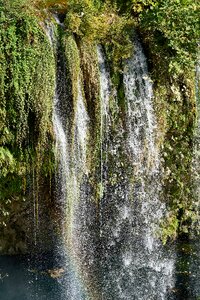 Water nature forest