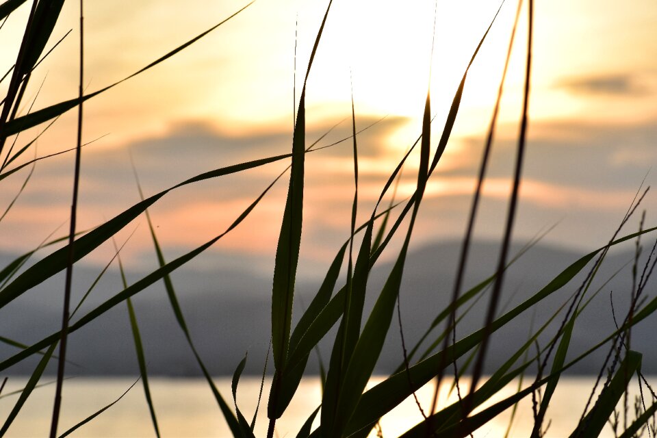 Backlighting coast landscape