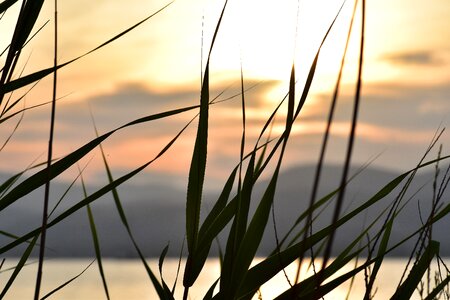 Backlighting coast landscape