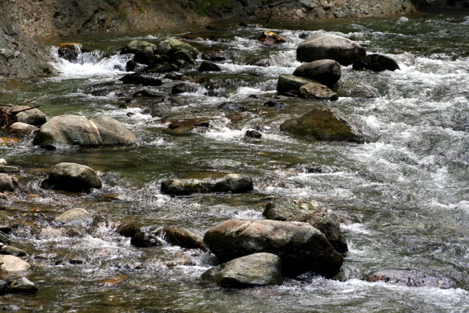 Nature water rest