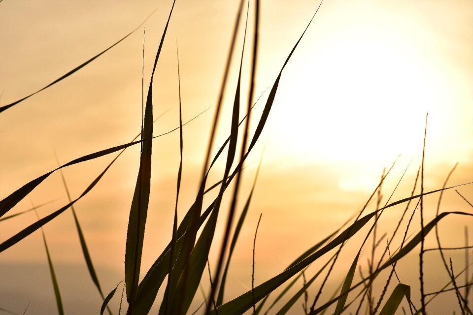 Backlighting coast landscape