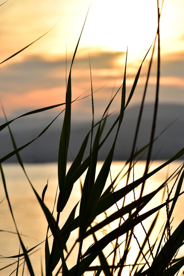 Backlighting coast landscape