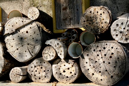 Insect house insect box wood photo