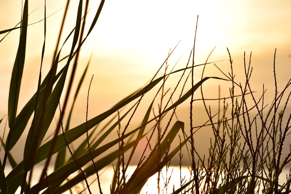 Backlighting coast landscape