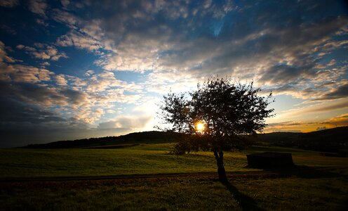 Color meadow sunset