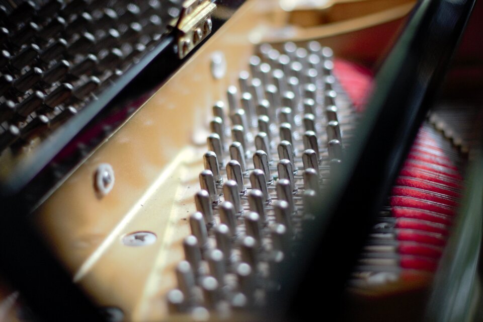 Pianist strings close up