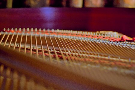 Pianist strings close up