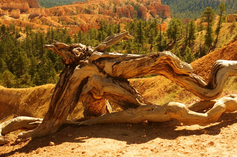 National park utah
