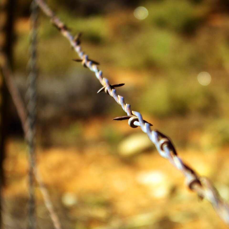 Fence grand staircase