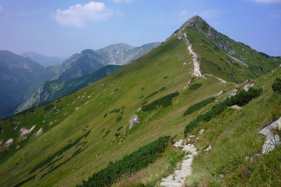 Landscape nature top view