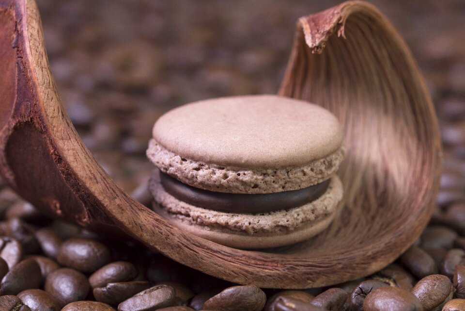 Macaron treat brown
