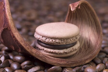 Macaron treat brown