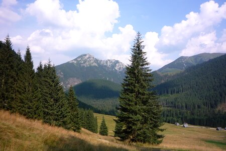 Landscape nature the national park