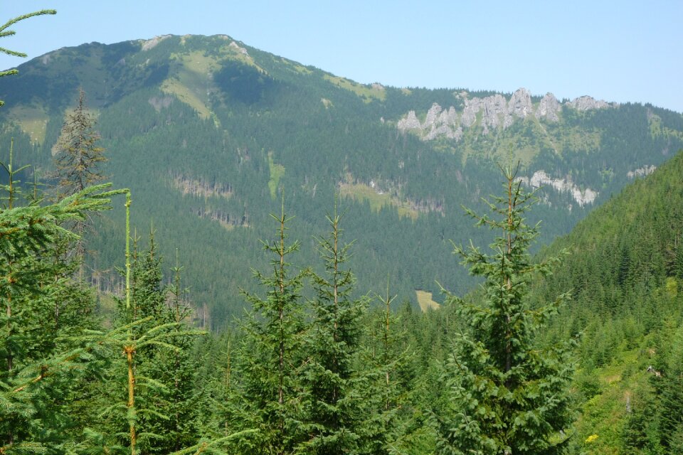 Landscape nature the national park
