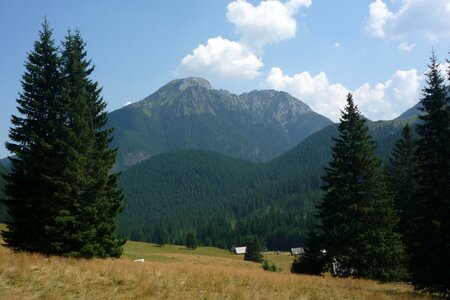 Landscape nature the national park