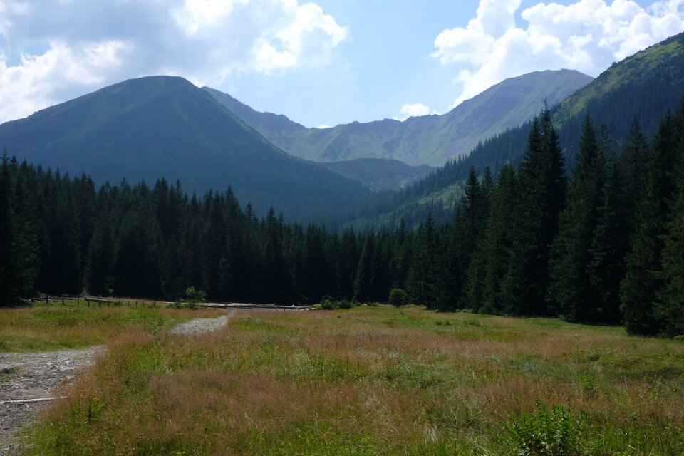 Landscape nature the national park