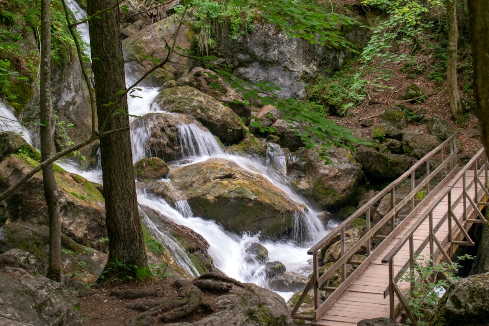 Water nature stream