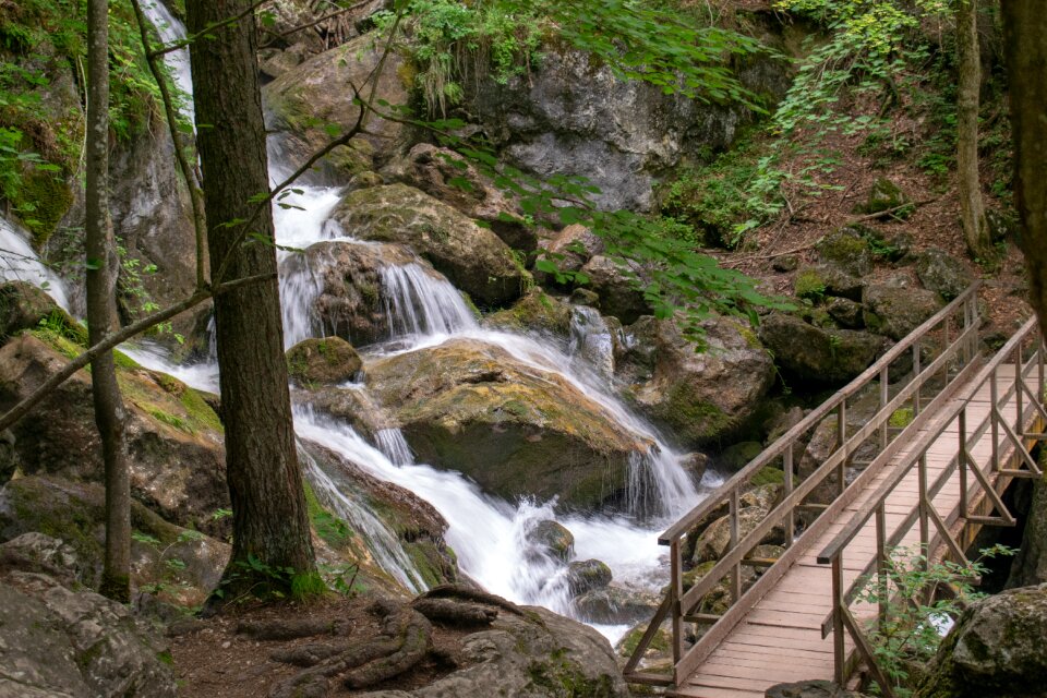 Water nature stream photo