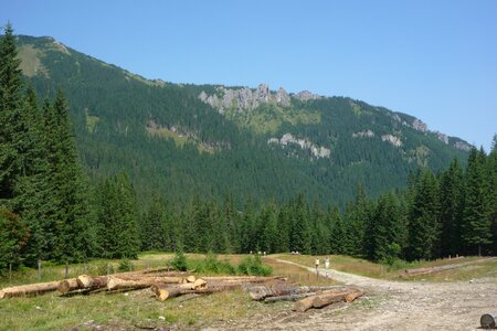 Landscape nature the national park