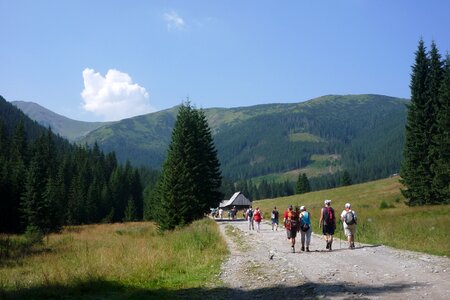 Landscape nature the national park photo