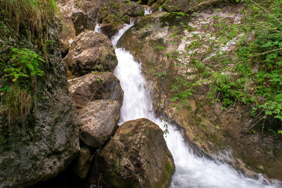 Water nature stream photo