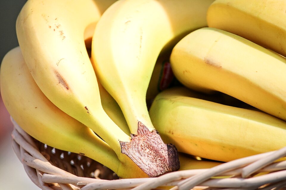 Fruit fruits vitamins