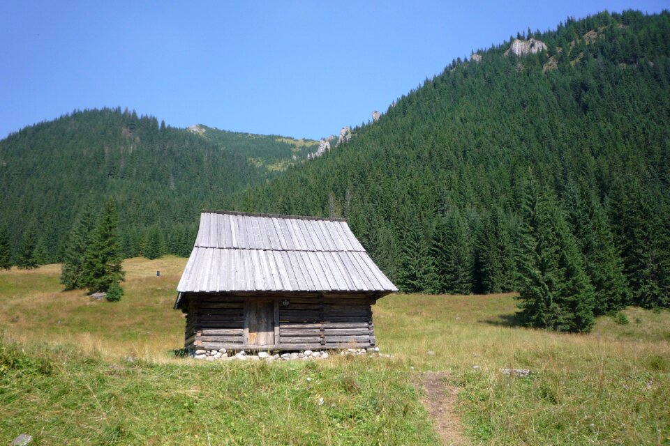 Landscape nature the national park