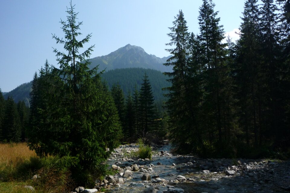 Landscape nature the national park