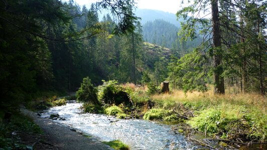 Landscape nature the national park
