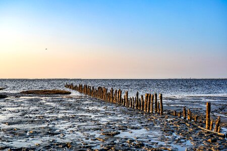 North sea ebb sea photo