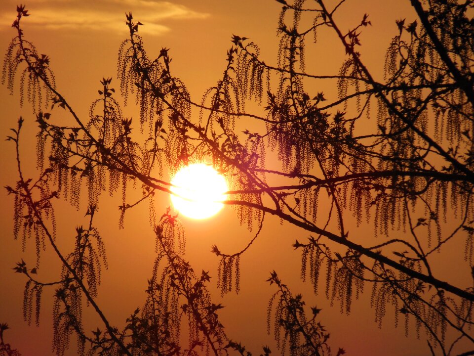 Nature sky mood