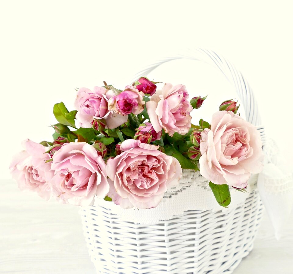 Romantic wedding bush röschen