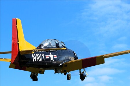 Aeroplane military wings