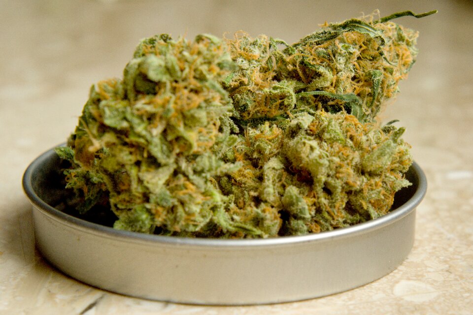 Hemp ganja addiction