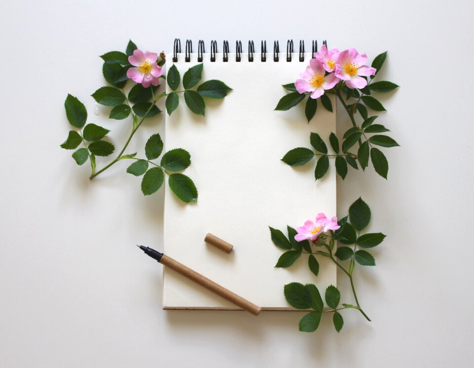 Writing tool schreiber stationery