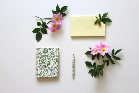 Paper stickies notepad