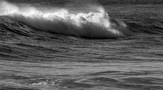Ocean surf monochrome photo
