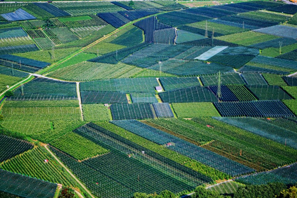 Summer meadow agriculture