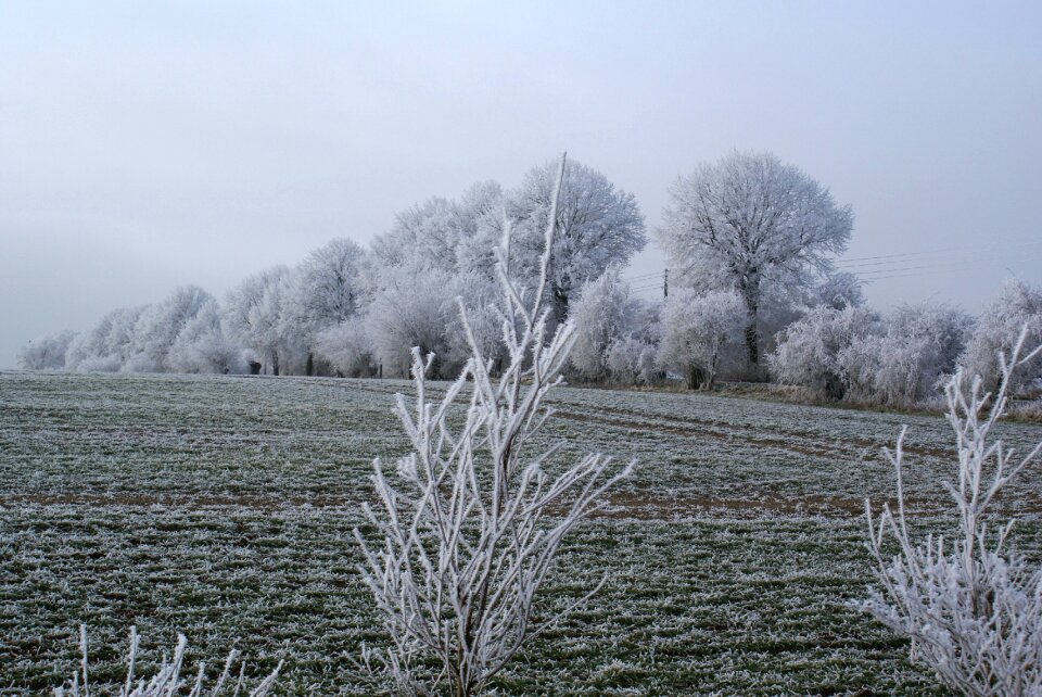 Cold winter magic winter